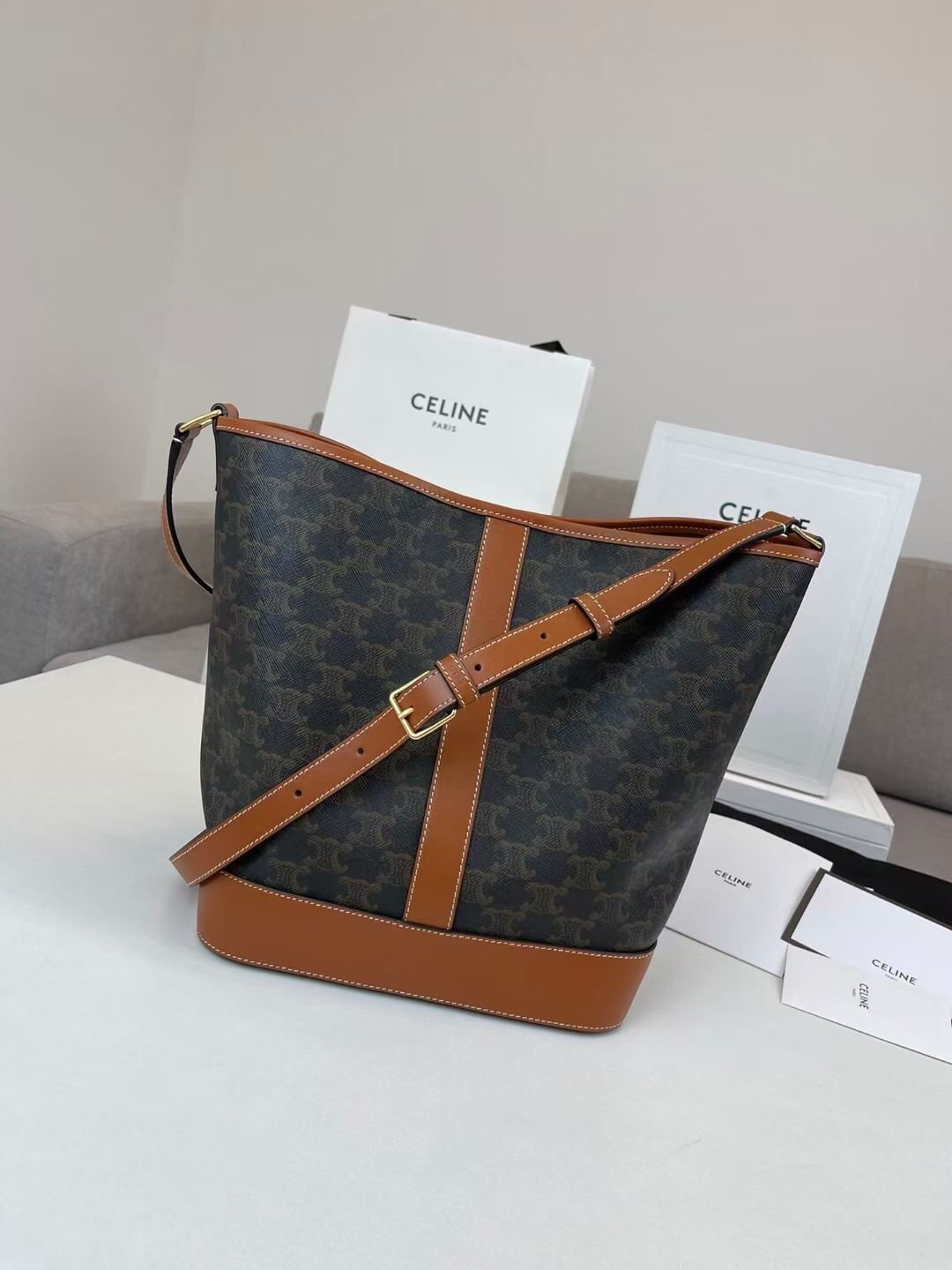 Celine Medium Bucket Bag In Triomphe Canvas and Calfskin