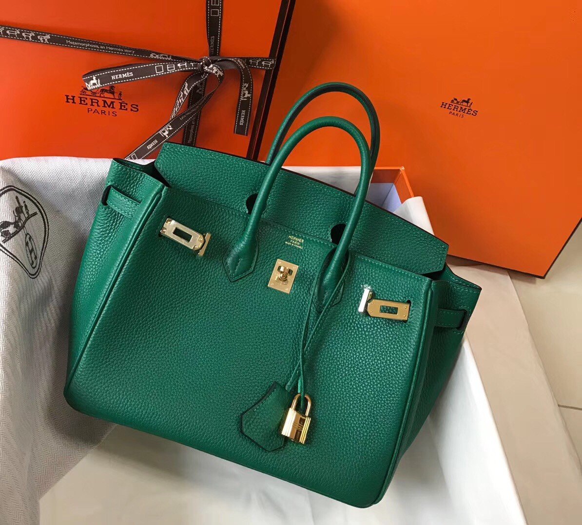 Hermes Birkin 25 Bag In Vert Vertigo Clemence Leather with GHW