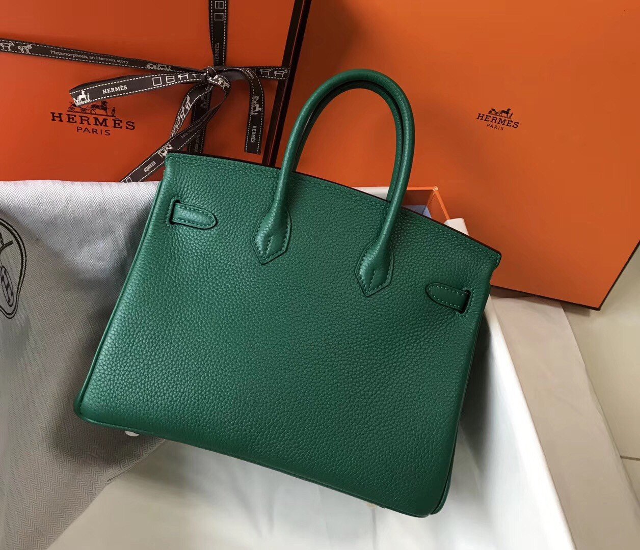 Hermes Birkin 25 Bag In Vert Vertigo Clemence Leather with GHW