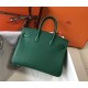 Hermes Birkin 25 Bag In Vert Vertigo Clemence Leather with GHW