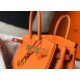 Hermes Birkin 25 Bag In Orange Clemence Leather with GHW