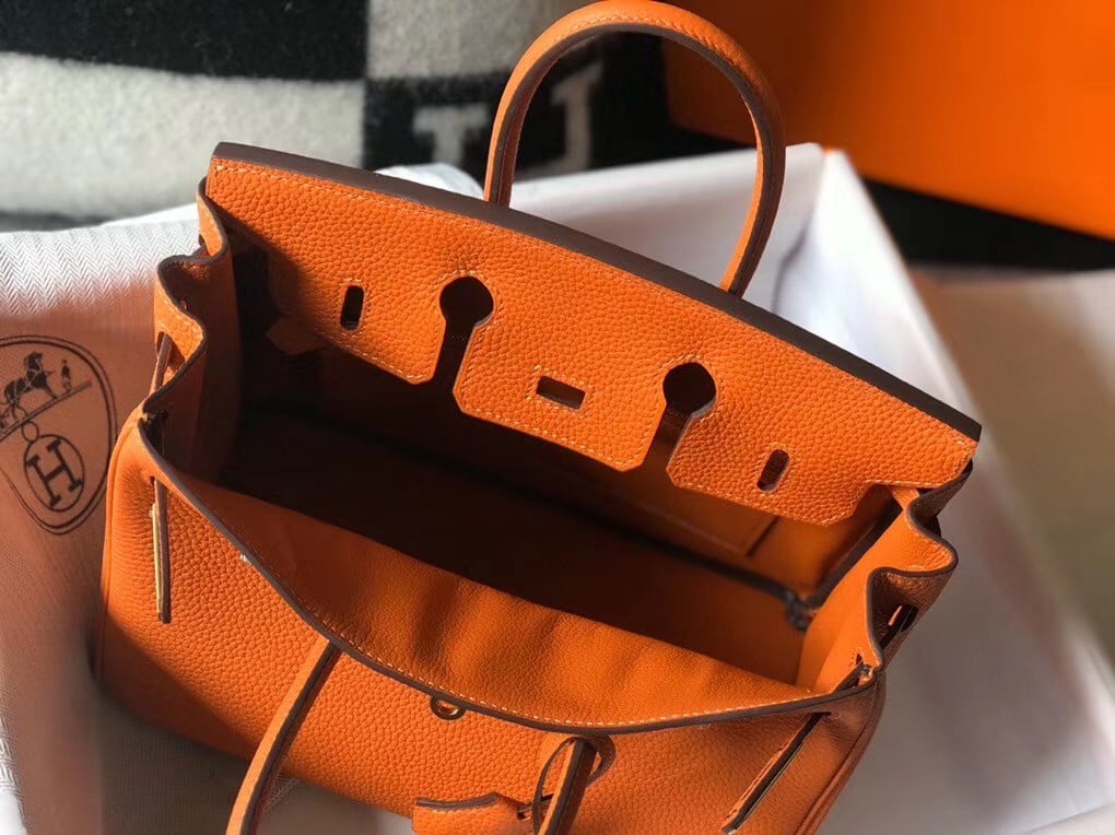 Hermes Birkin 25 Bag In Orange Clemence Leather with GHW