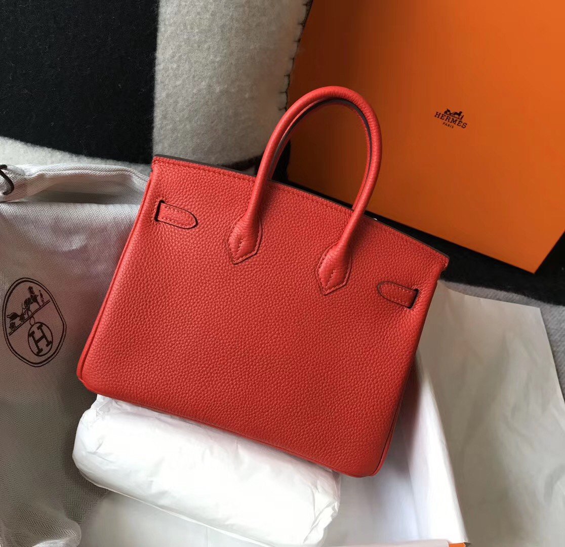 Hermes Birkin 25 Bag In Red Clemence Leather with GHW