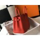 Hermes Birkin 25 Bag In Red Clemence Leather with GHW