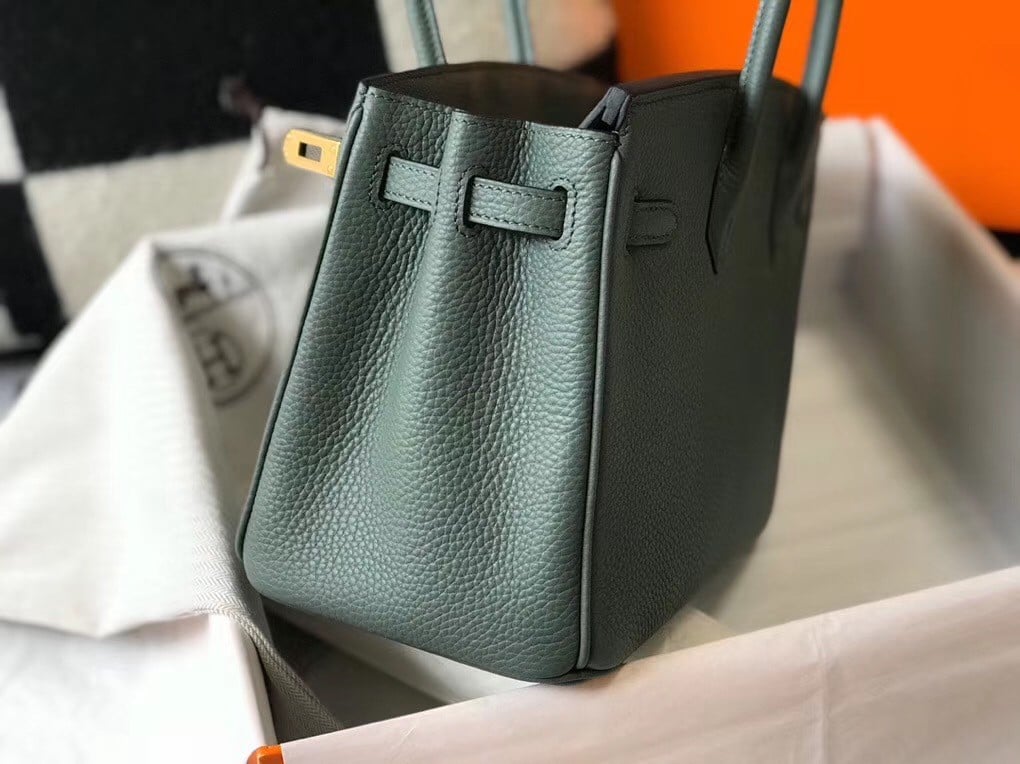 Hermes Birkin 25 Bag In Vert Amande Clemence Leather with GHW