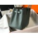 Hermes Birkin 25 Bag In Vert Amande Clemence Leather with GHW