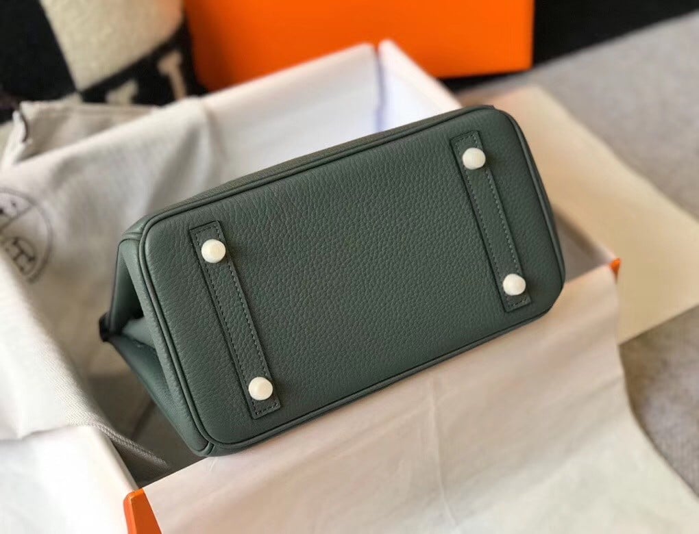 Hermes Birkin 25 Bag In Vert Amande Clemence Leather with GHW