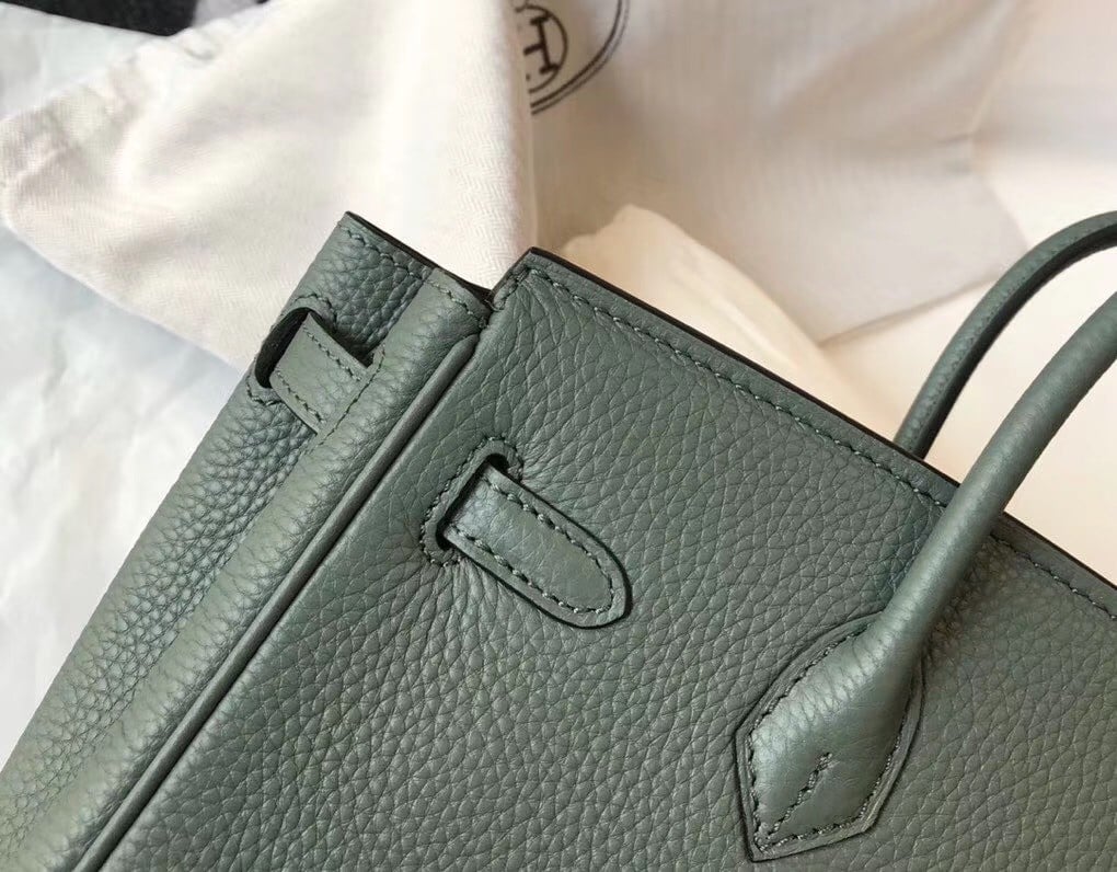 Hermes Birkin 25 Bag In Vert Amande Clemence Leather with GHW