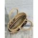 Dior Small Catherine Tote Bag In Beige Jute Canvas with Union Motif