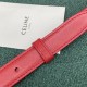 Celine Triomphe Medium Bag In Red Smooth Calfskin