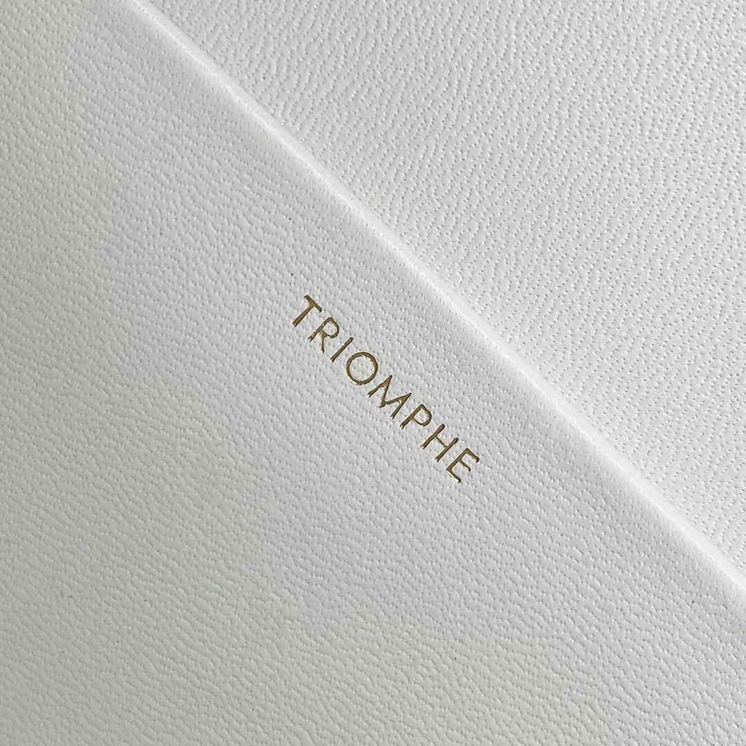 Celine Triomphe Medium Bag In White Smooth Calfskin