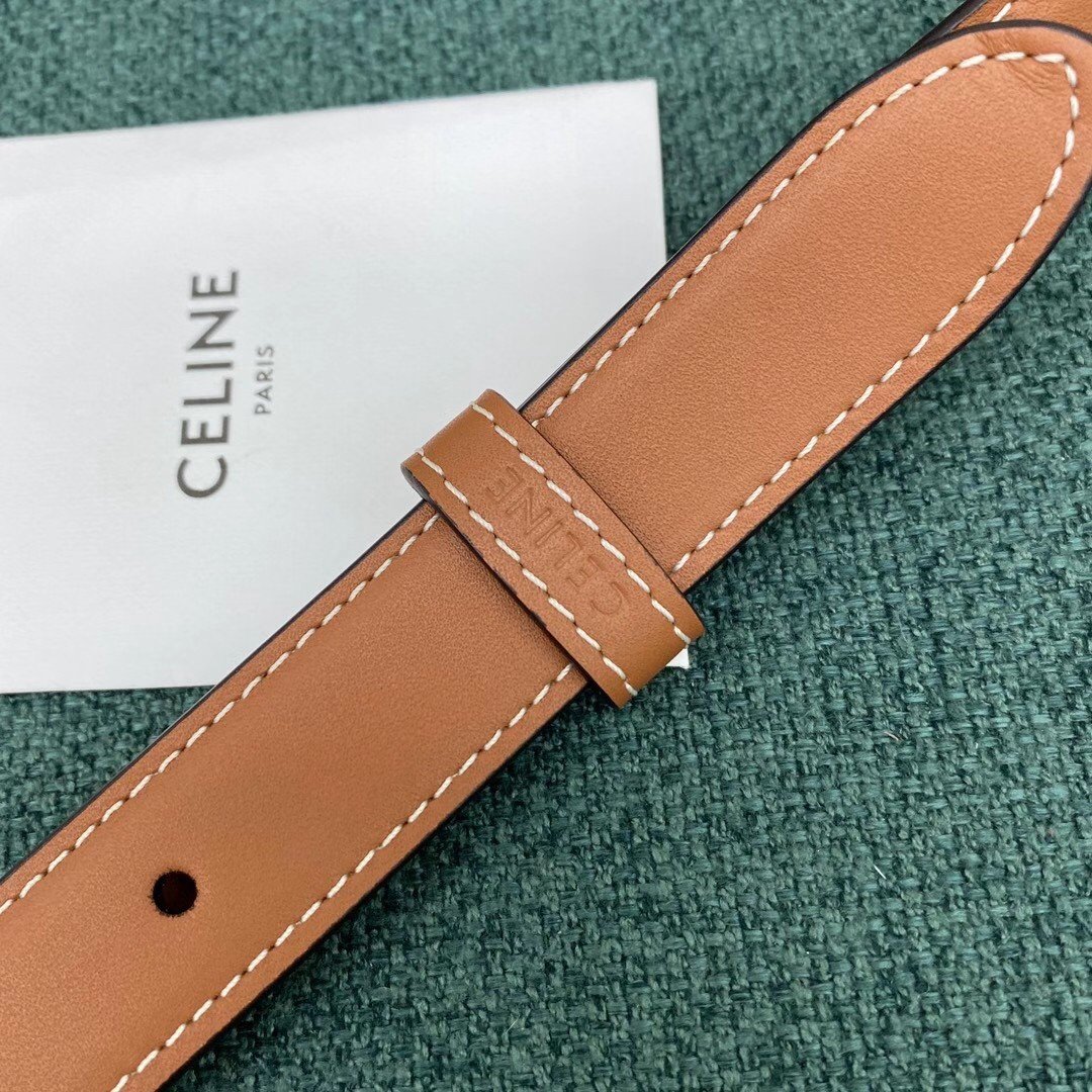 Celine Triomphe Medium Bag In Brown Natural Calfskin