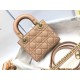 Dior Lady Dior Mini Chain Bag with Chain in Nude Patent Calfskin