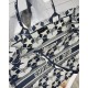 Dior Large Book Tote Bag In Blue and White Dior Etoile Embroidery