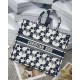 Dior Large Book Tote Bag In Blue and White Dior Etoile Embroidery