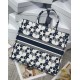 Dior Large Book Tote Bag In Blue and White Dior Etoile Embroidery