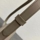 Celine Triomphe Teen Bag In Grey Leather