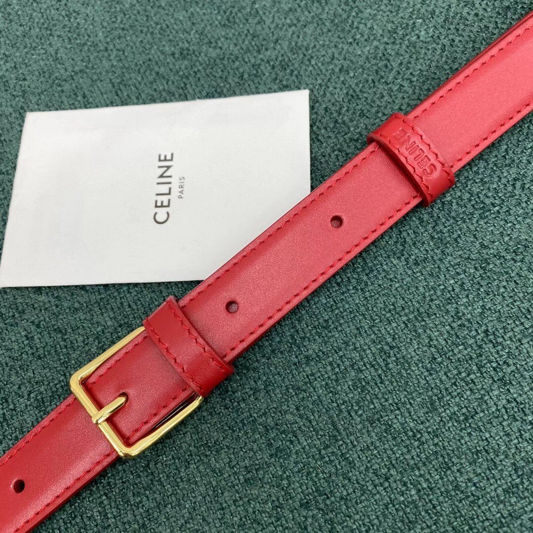 Celine Triomphe Large Bag In Red Calfskin