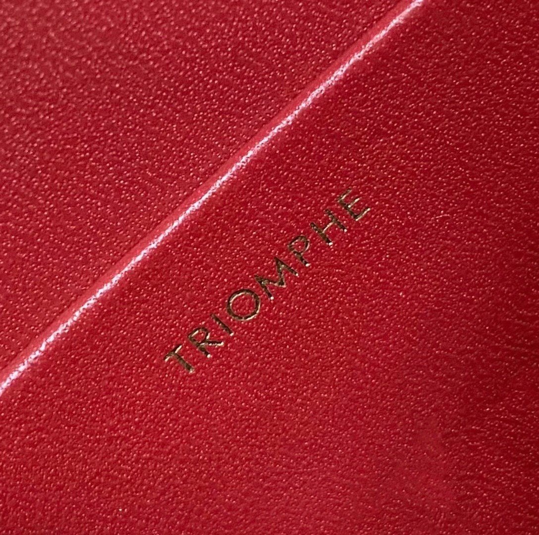 Celine Triomphe Teen Bag In Red Leather