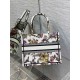 Dior Small Book Tote Bag In White Jardin Botanique Embroidery