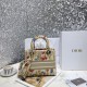 Dior Lady D-Lite Medium Bag In Hibiscus Metallic Thread Embroidery