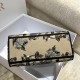 Dior Lady D-Lite Medium Bag In Beige Jardin d'Hiver Embroidery