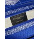 Dior Lady D-Lite Medium Bag In Fluorescent Blue Toile de Jouy Reverse Embroidery