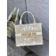 Dior Small Book Tote Bag In Gold Rêve d'Infini Embroidery