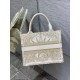 Dior Small Book Tote Bag In Gold Rêve d'Infini Embroidery