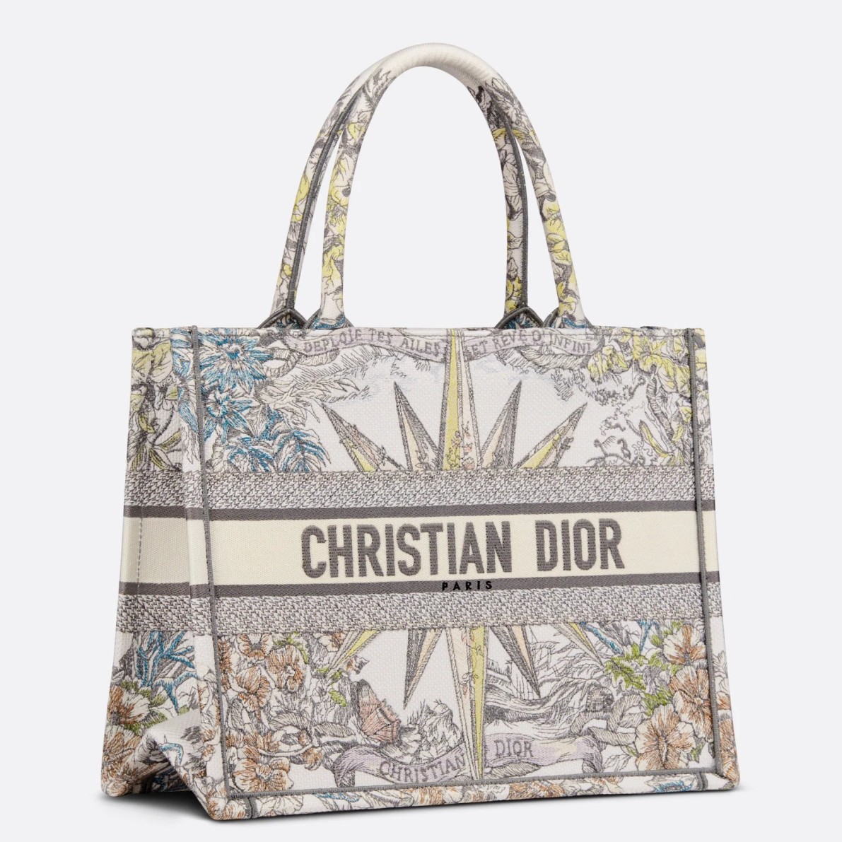 Dior Medium Book Tote Bag In Multicolor Rêve d'Infini Embroidery