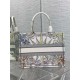 Dior Medium Book Tote Bag In Multicolor Rêve d'Infini Embroidery