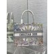 Dior Medium Book Tote Bag In Multicolor Rêve d'Infini Embroidery