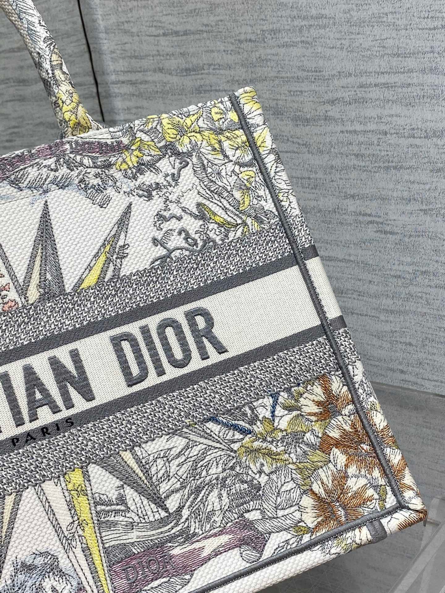 Dior Medium Book Tote Bag In Multicolor Rêve d'Infini Embroidery