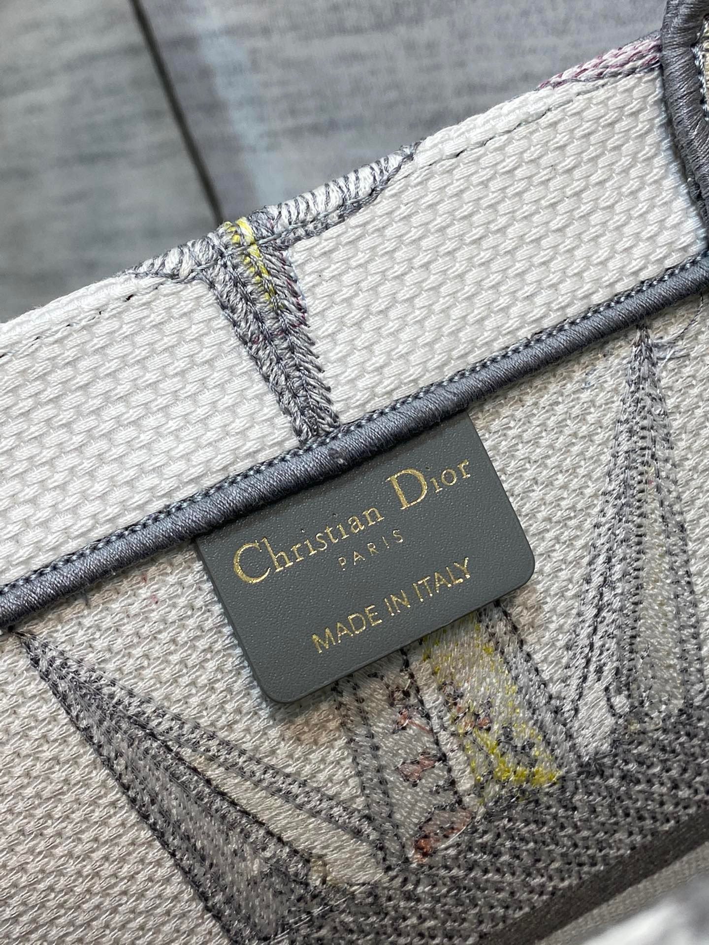 Dior Medium Book Tote Bag In Multicolor Rêve d'Infini Embroidery