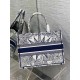 Dior Medium Book Tote Bag In White & Blue Rêve d'Infini Embroidery