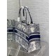 Dior Medium Book Tote Bag In White & Blue Rêve d'Infini Embroidery