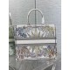 Dior Large Dior Book Tote In Multicolor Rêve d'Infini Embroidery