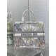 Dior Large Dior Book Tote In Multicolor Rêve d'Infini Embroidery