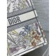 Dior Large Dior Book Tote In Multicolor Rêve d'Infini Embroidery