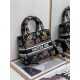 Dior Lady D-Lite Medium Bag In Black Jardin Botanique Embroidery