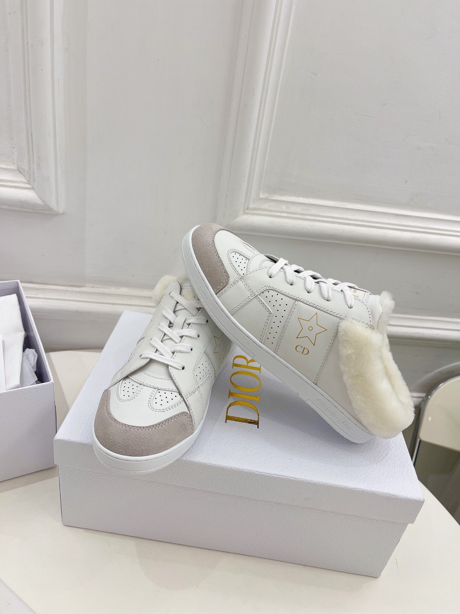 Dior Star Low-top Sneakers in White Calfskin and Shearling