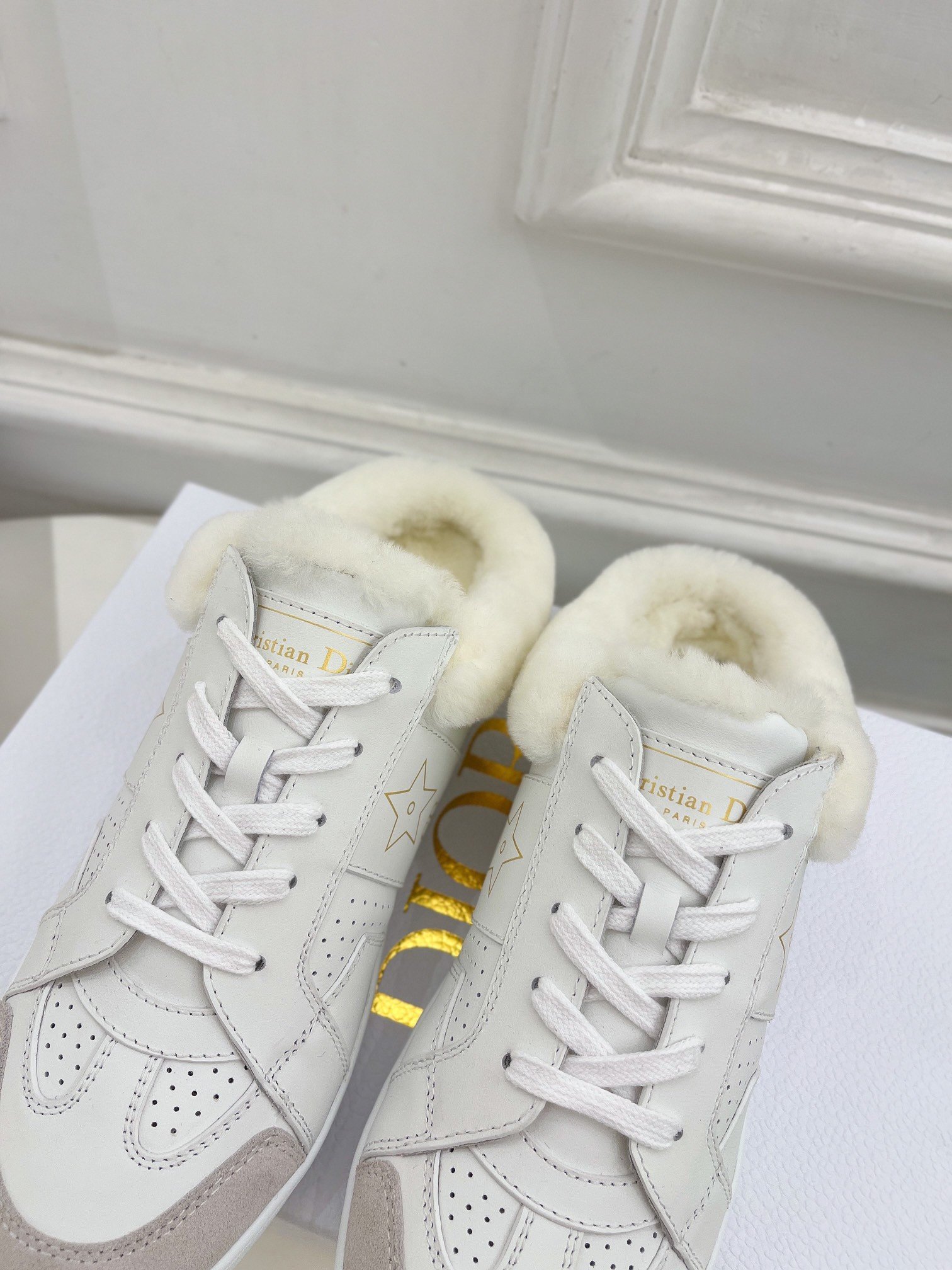 Dior Star Low-top Sneakers in White Calfskin and Shearling