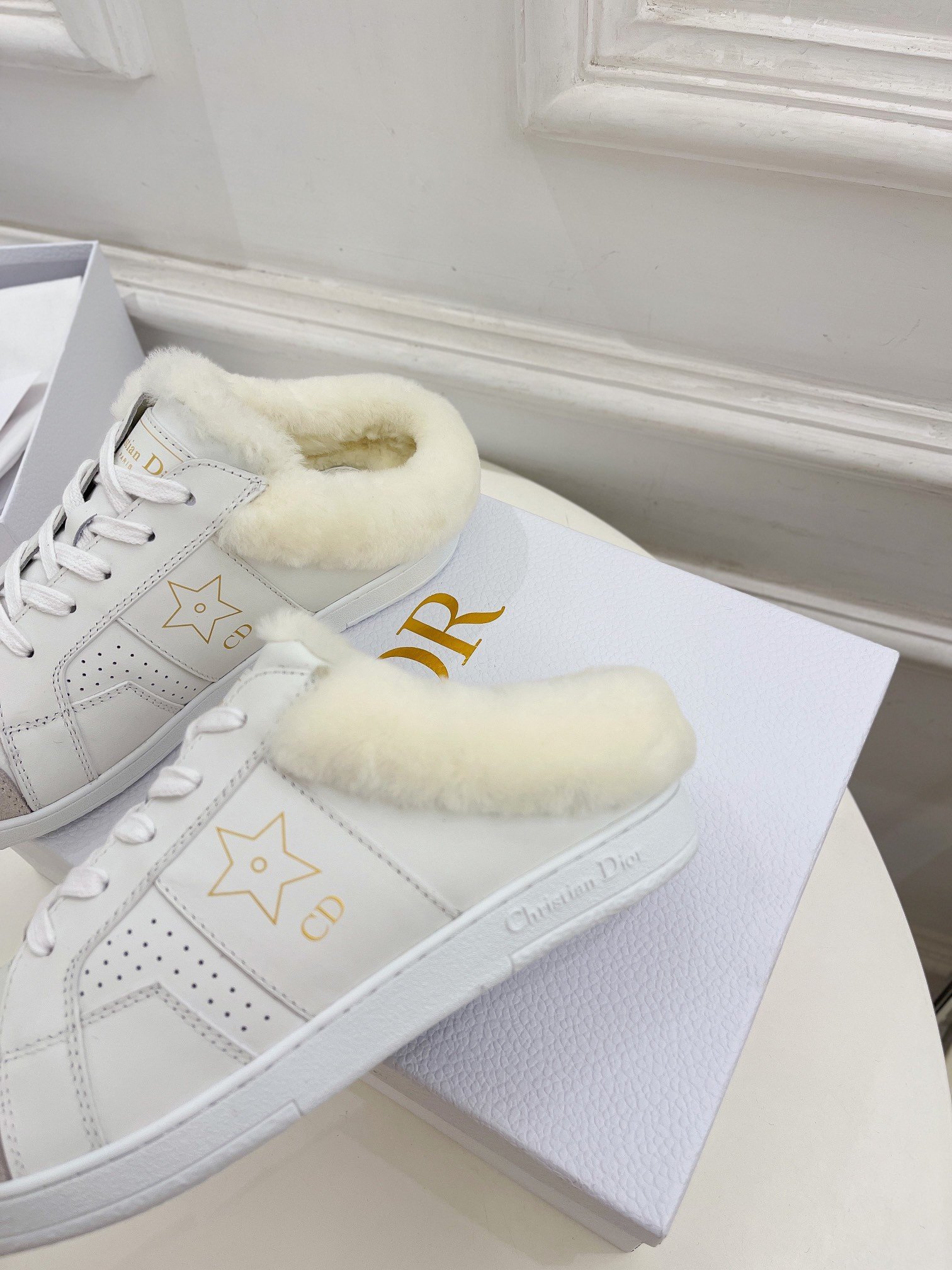 Dior Star Low-top Sneakers in White Calfskin and Shearling