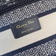 Dior Lady D-Lite Large Bag In Blue Toile de Jouy Reverse Embroidery