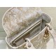 Dior Lady D-Lite Medium Bag In Gold Jardin d'Hiver Embroidery