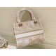 Dior Lady D-Lite Medium Bag In Gold Jardin d'Hiver Embroidery