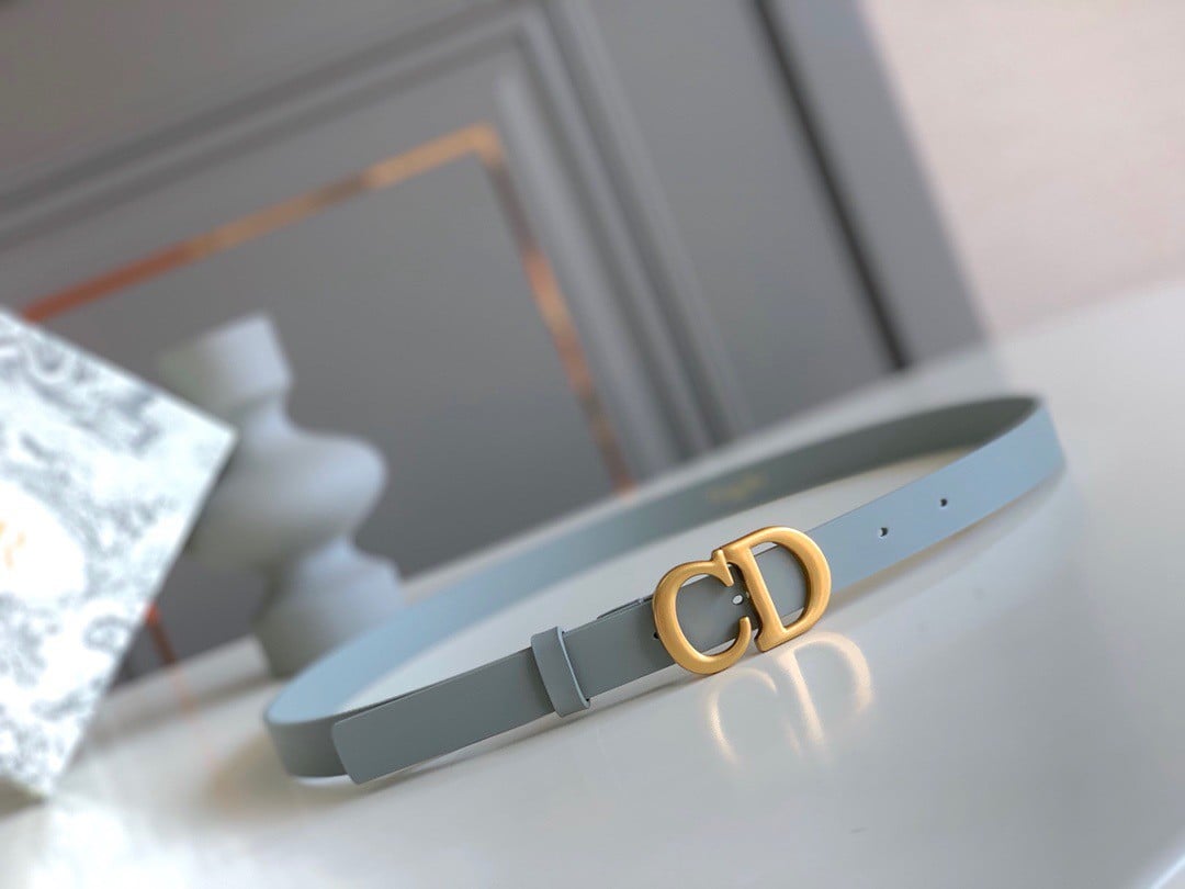 Dior Saddle 20MM Belt In Grey Calfskin