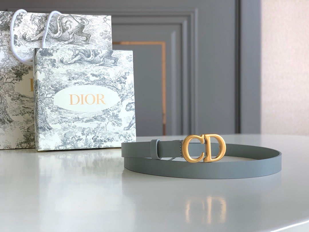 Dior Saddle 20MM Belt In Grey Calfskin