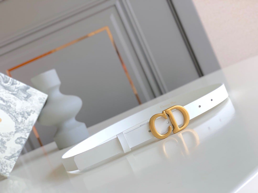 Dior Saddle 20MM Belt In White Calfskin