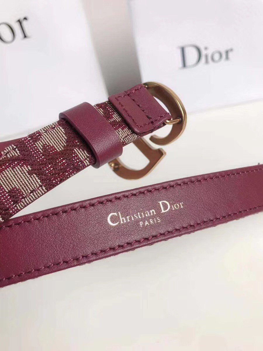 Dior Saddle 20MM Belt In Bordeaux Dior Oblique Jacquard